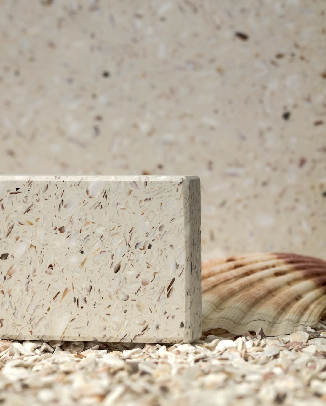 Ostrea material with a scallop shell